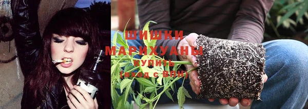 шишки Пересвет